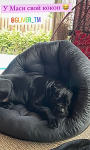 Фото покупателя, оценка 5 - 14